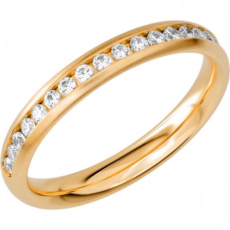 Schalins Allians SR2010