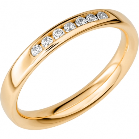 Schalins Allians SR2017