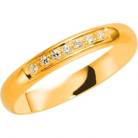 Schalins Allians 203-31.7